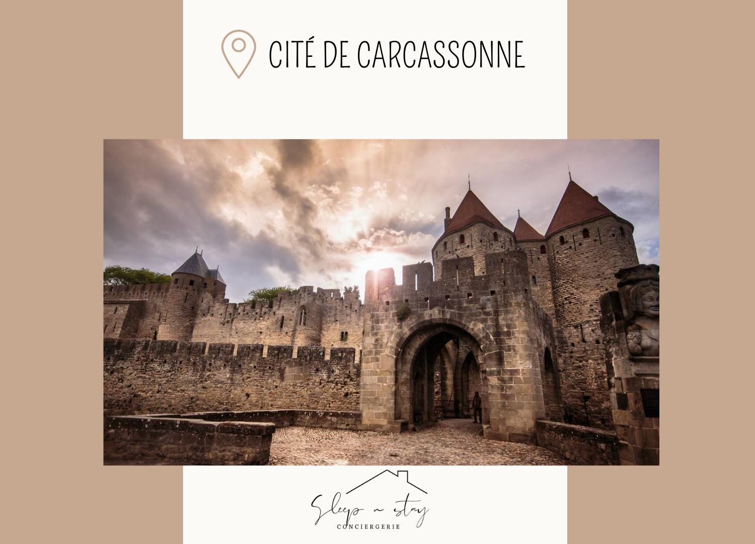 Apartment La Terasse Carcassonne Bagian luar foto